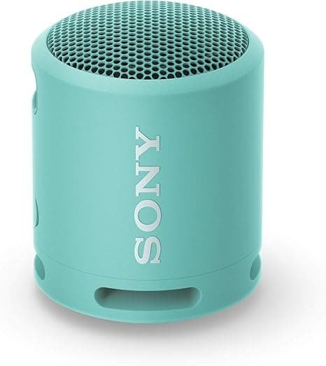 The Pocket-Sized Wave Maker: A Portrait of the Sony SRS-XB13