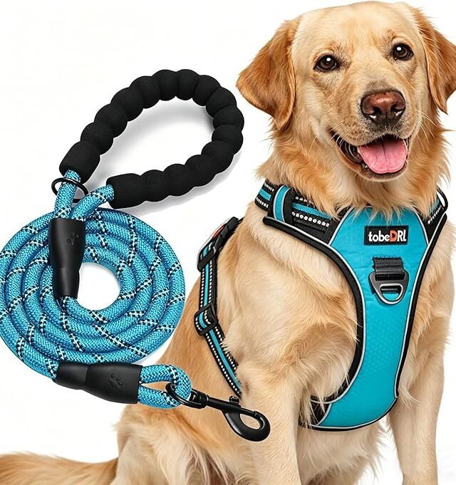 TobeDRI Adjustable No-Pull Reflective Dog Harness with Free 5ft Leash: Comfort, Control, and Safety for Active Dogs