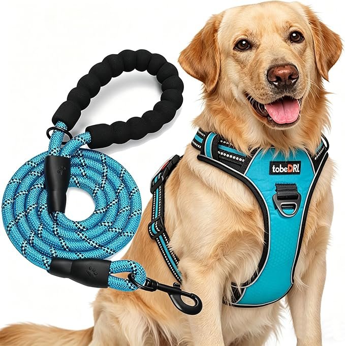 TobeDRI Adjustable No-Pull Reflective Dog Harness with Free 5ft Leash: Comfort, Control, and Safety for Active Dogs